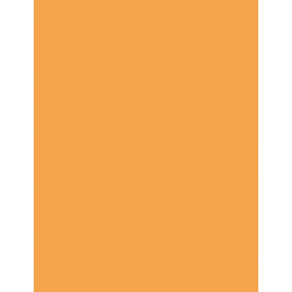 Multi-Purpose Paper, Hyper Orange, 8.5in x 11in, PK500